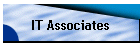 IT Associates